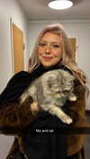 linzoor Altpins Profile Picture