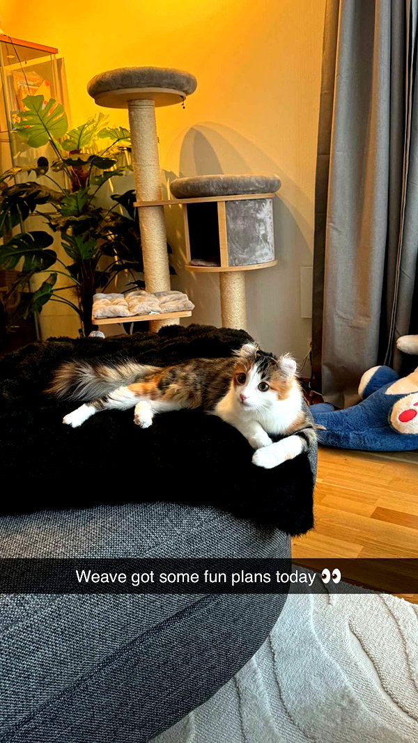 linzoor snapchat image archive image