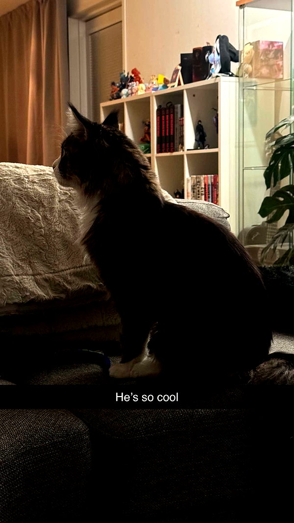 linzoor snapchat image archive image