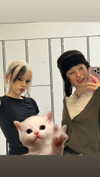 linzoor Altpins Profile Picture