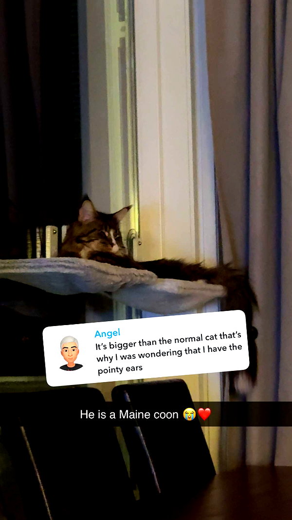 linzoor snapchat image archive image