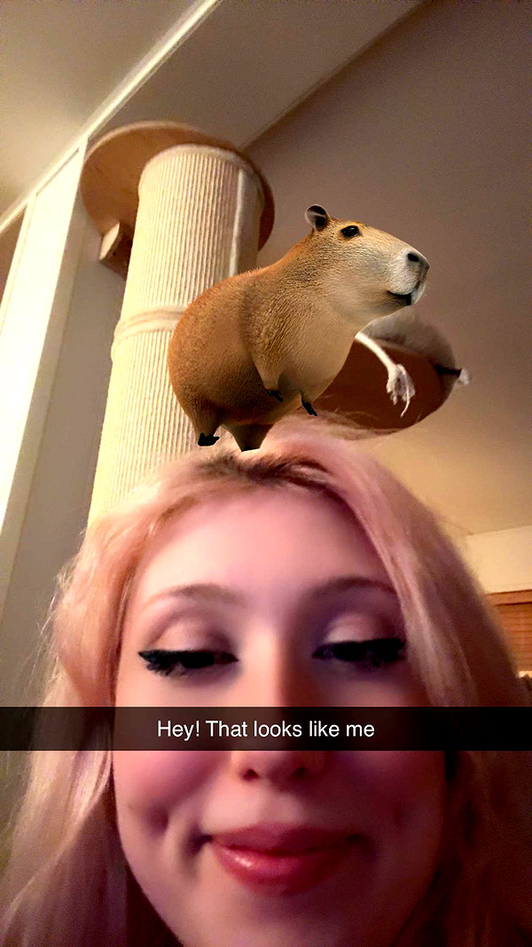 linzoor snapchat image archive image