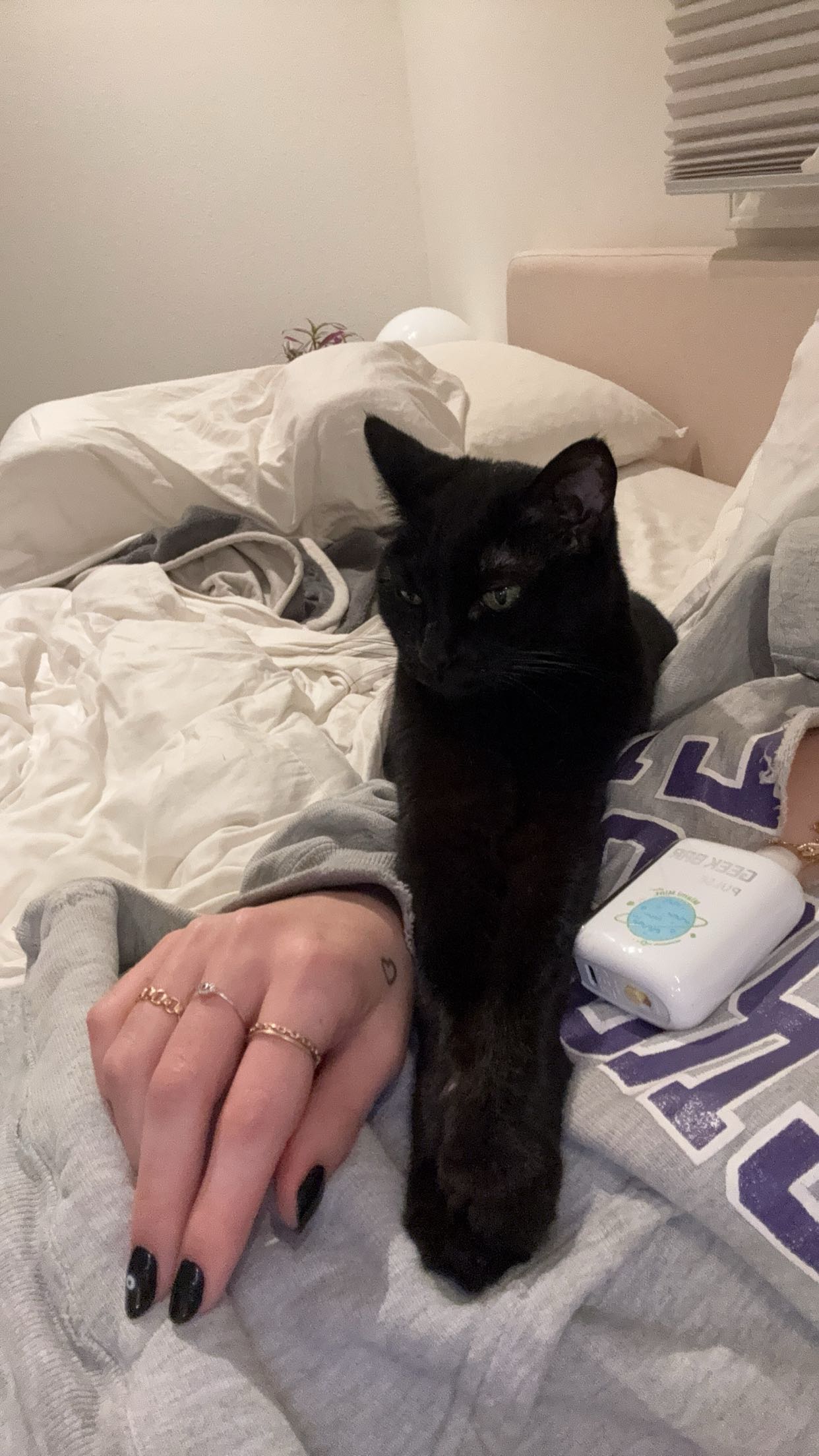 little.warren1 snapchat image archive image