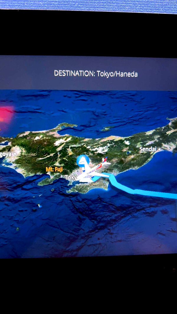 little.warren1 image ~ Altpins