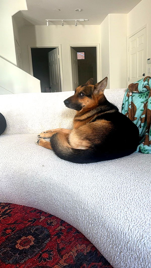 little.warren1 image ~ Altpins