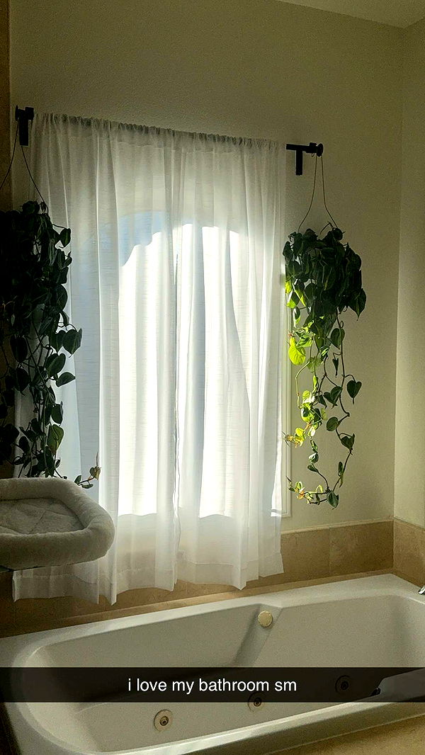 little.warren1 image ~ Altpins