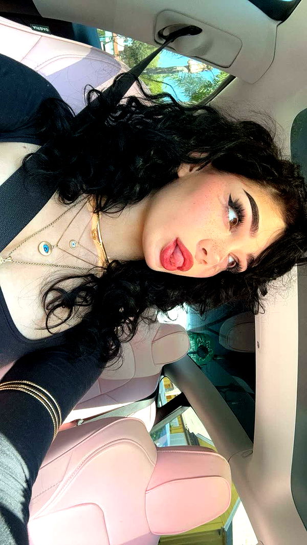 little.warren1 image ~ Altpins