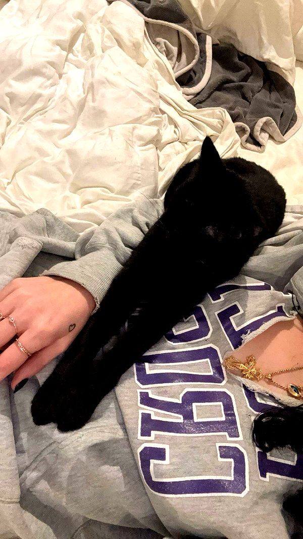 little.warren1 image ~ Altpins