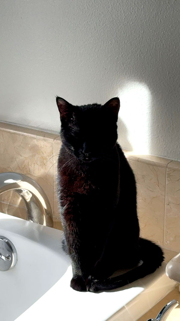 little.warren1 image ~ Altpins