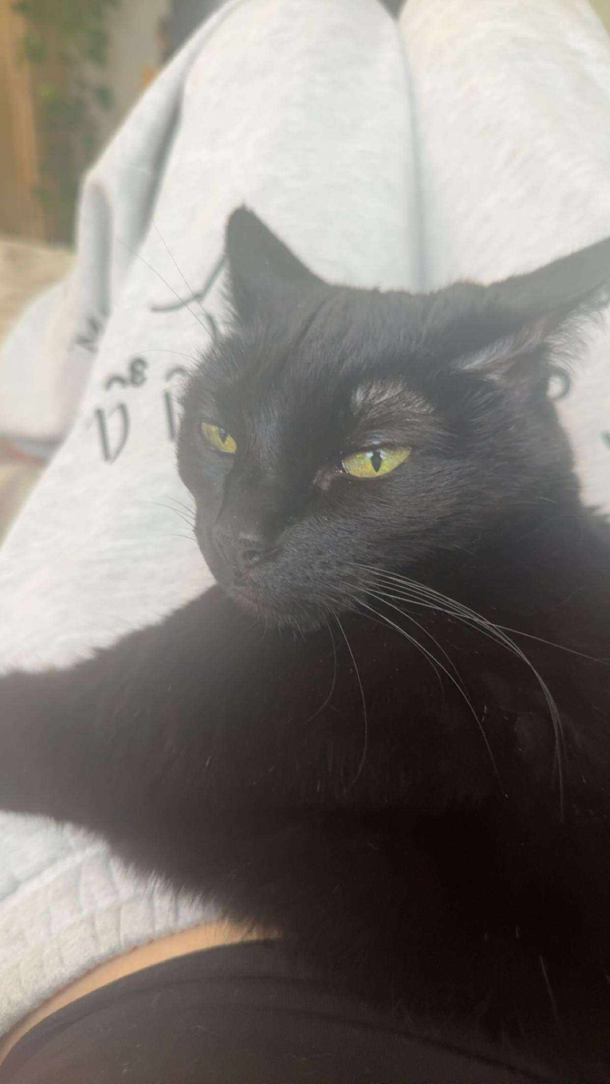 little.warren1 snapchat image archive image