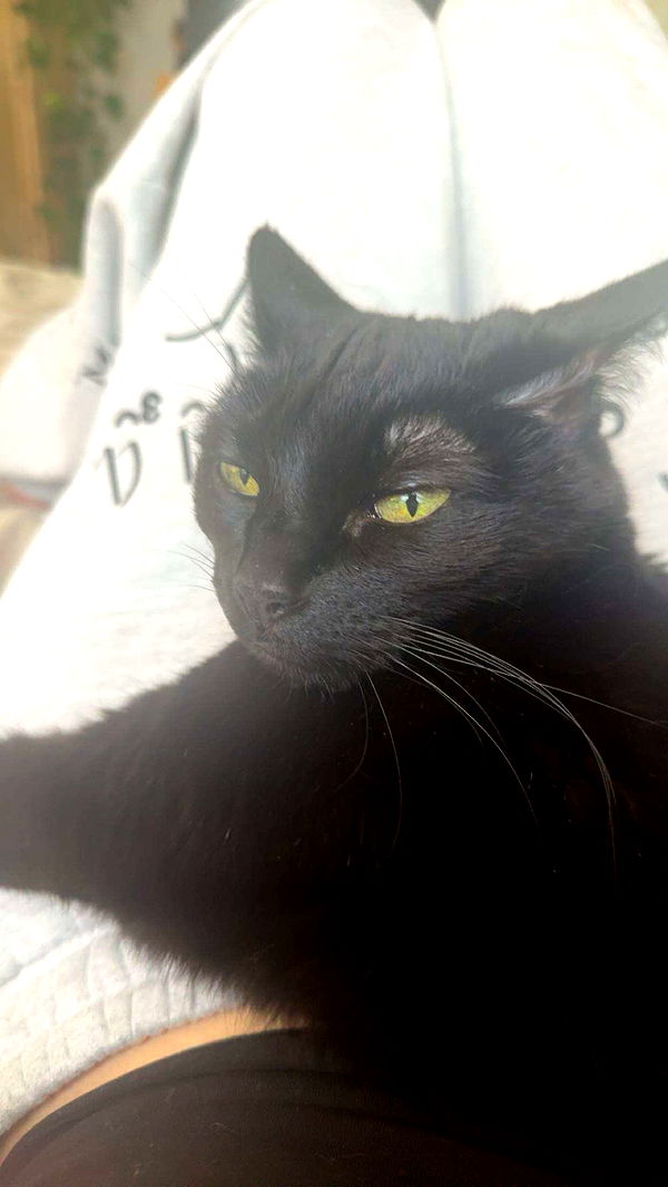 little.warren1 image ~ Altpins