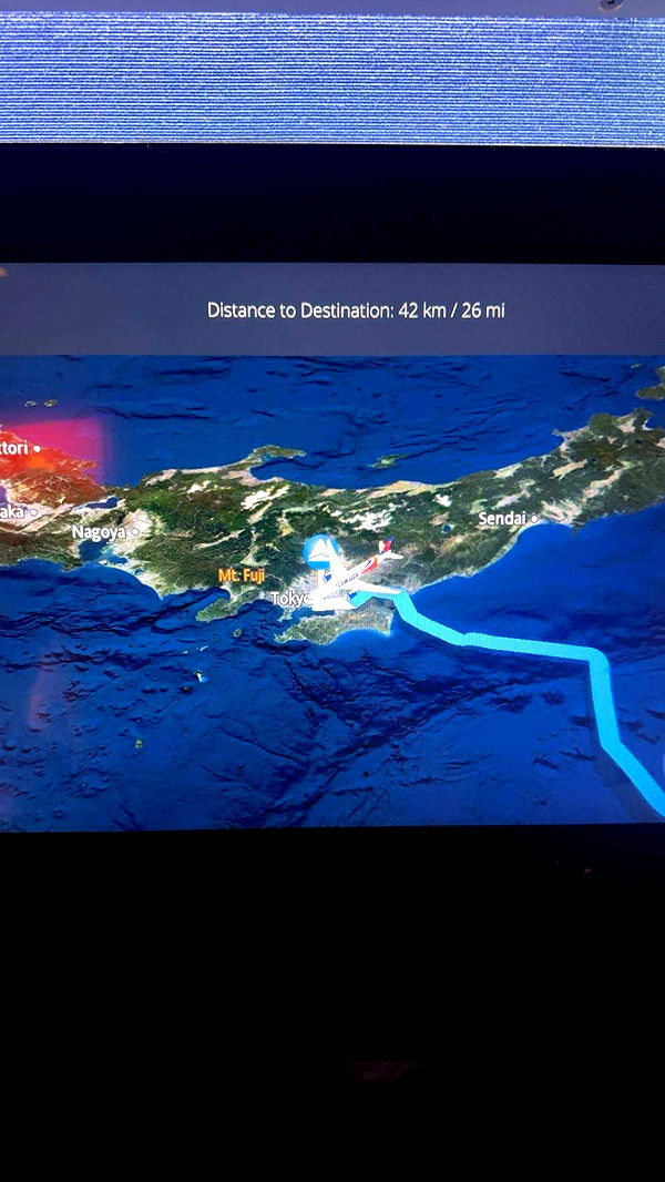 little.warren1 image ~ Altpins