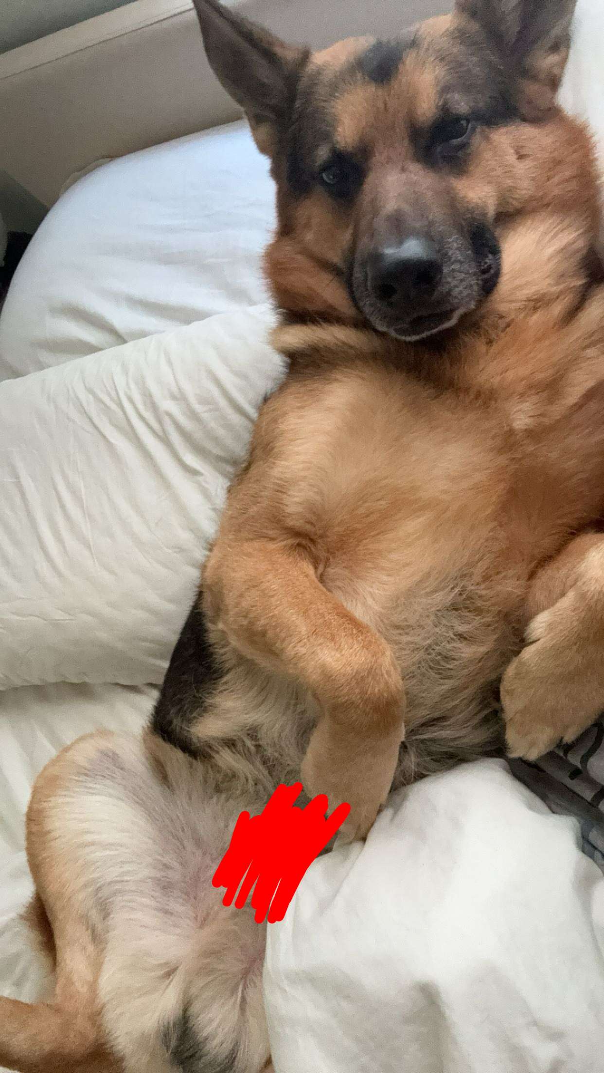 little.warren1 snapchat image archive image