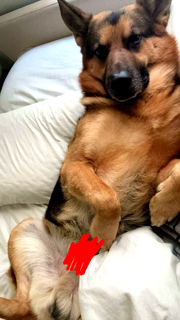 little.warren1 image ~ Altpins