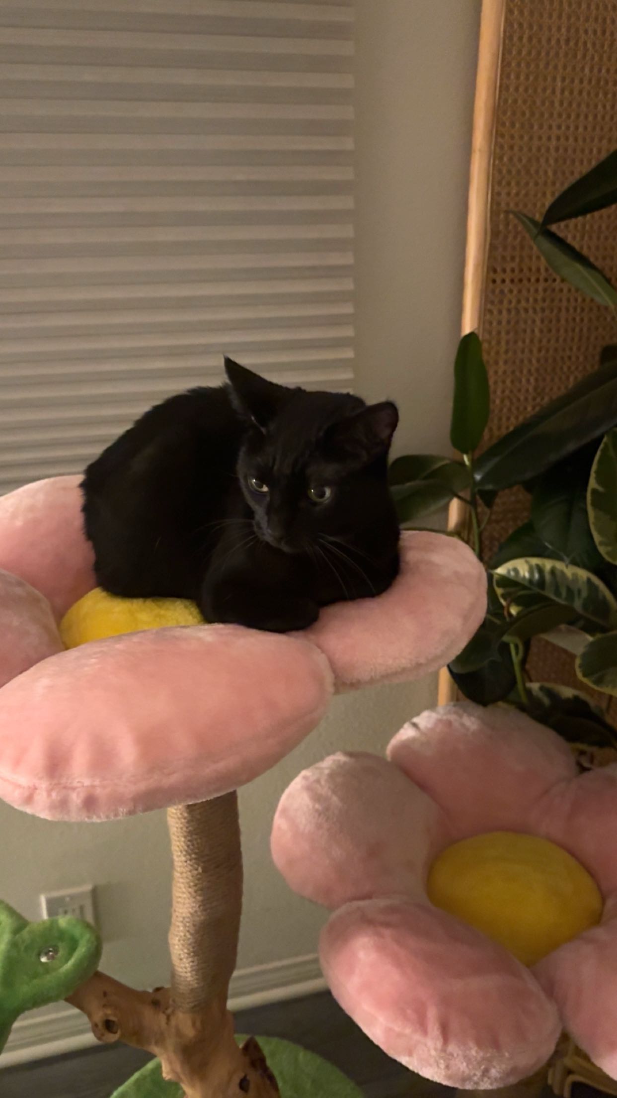 little.warren1 snapchat image archive image