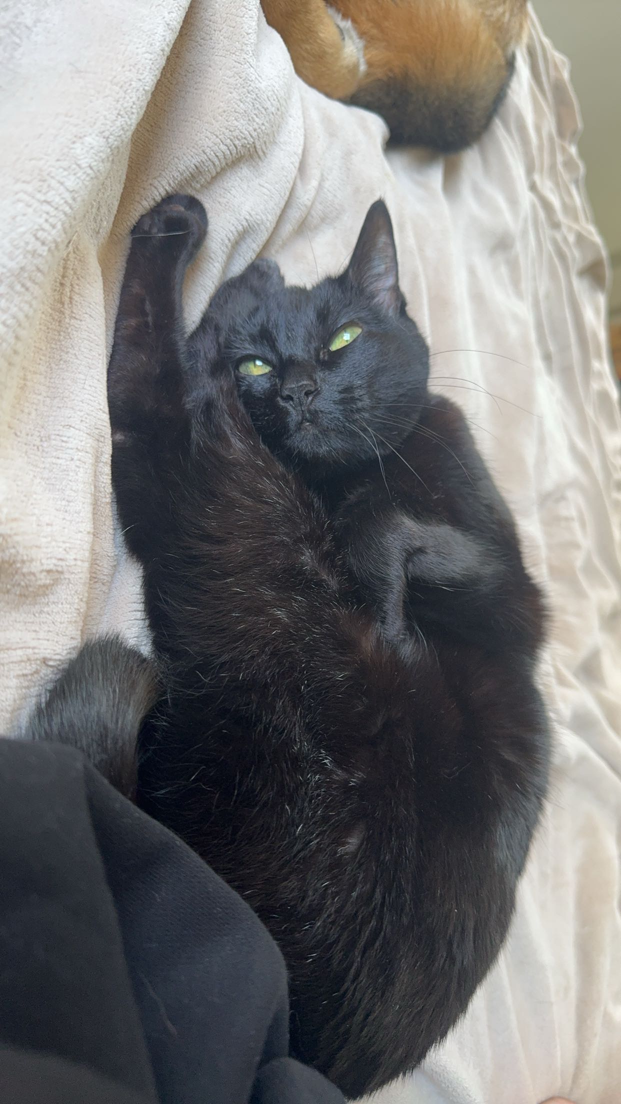 little.warren1 snapchat image archive image