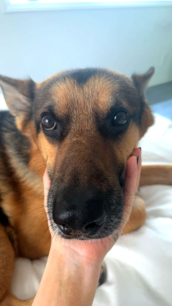 little.warren1 image ~ Altpins