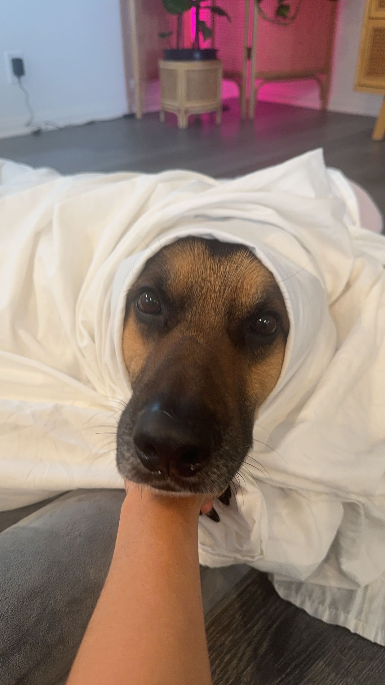 little.warren1 snapchat image archive image