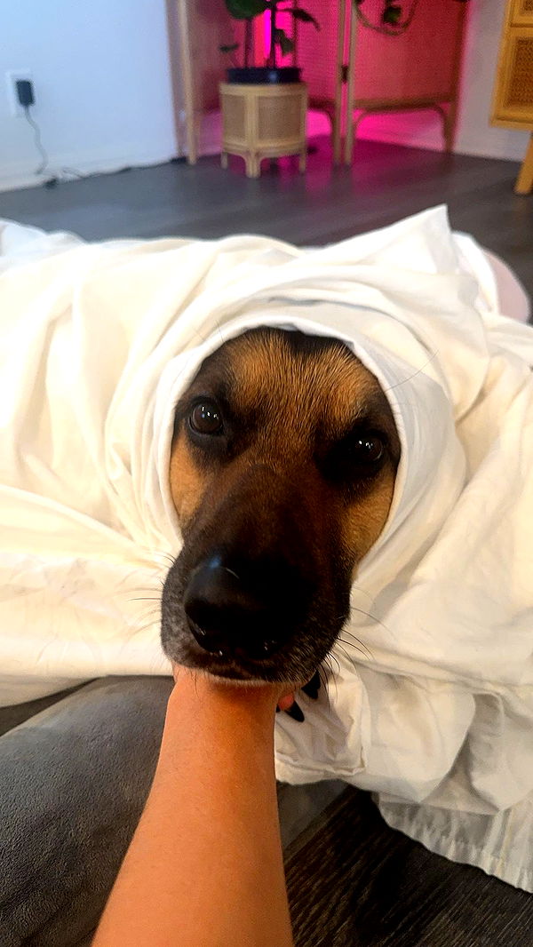 little.warren1 image ~ Altpins