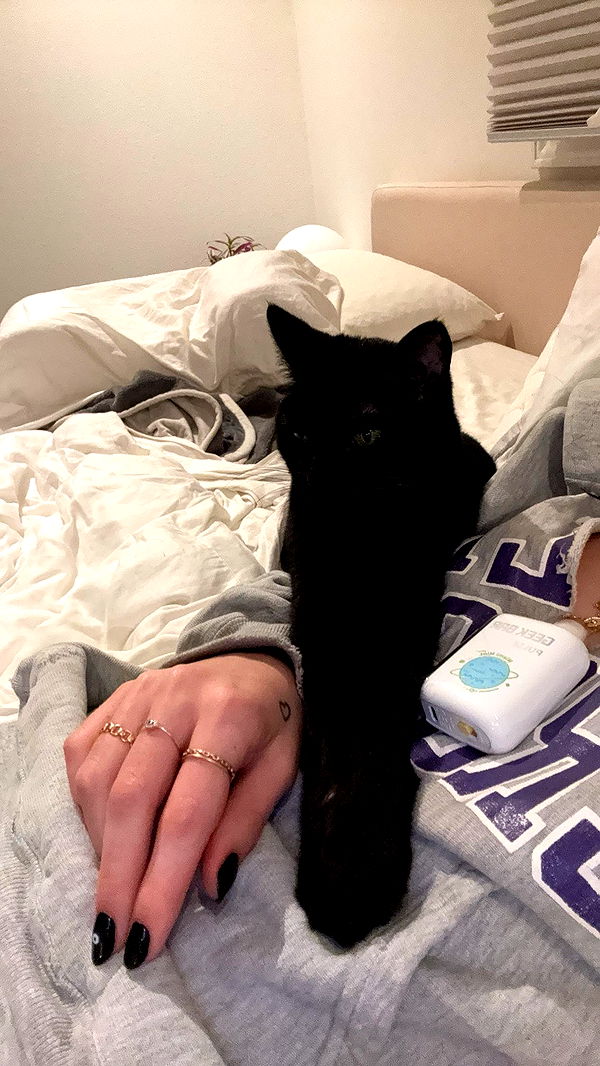 little.warren1 image ~ Altpins