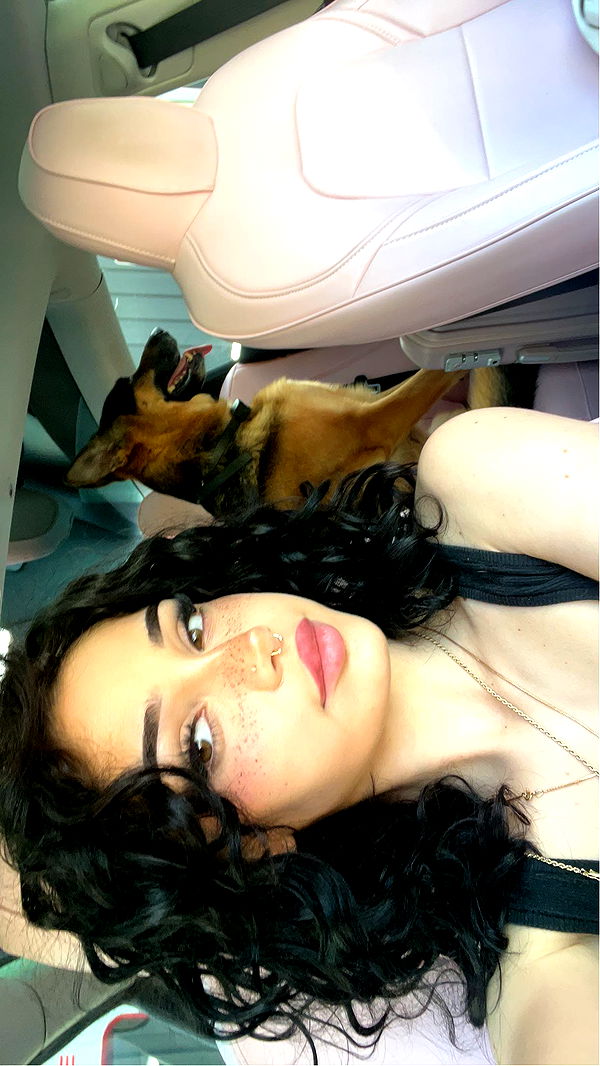 little.warren1 image ~ Altpins