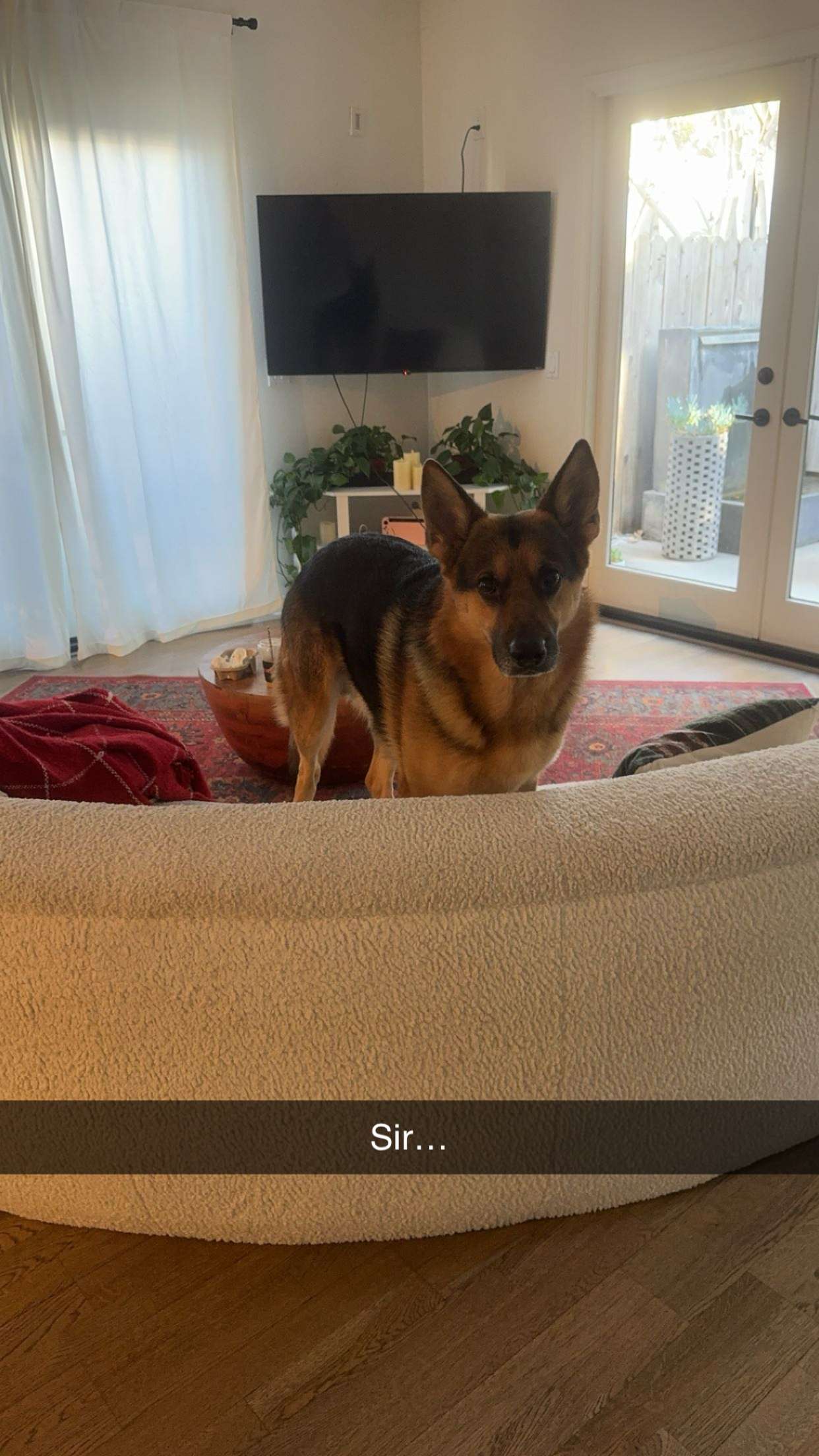 little.warren1 snapchat image archive image