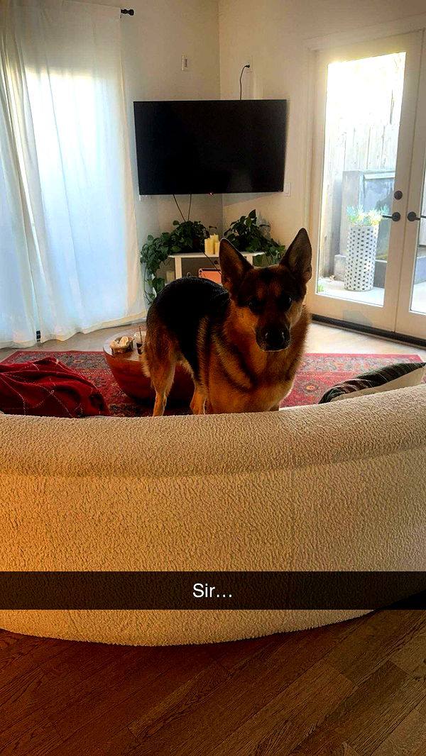 little.warren1 image ~ Altpins