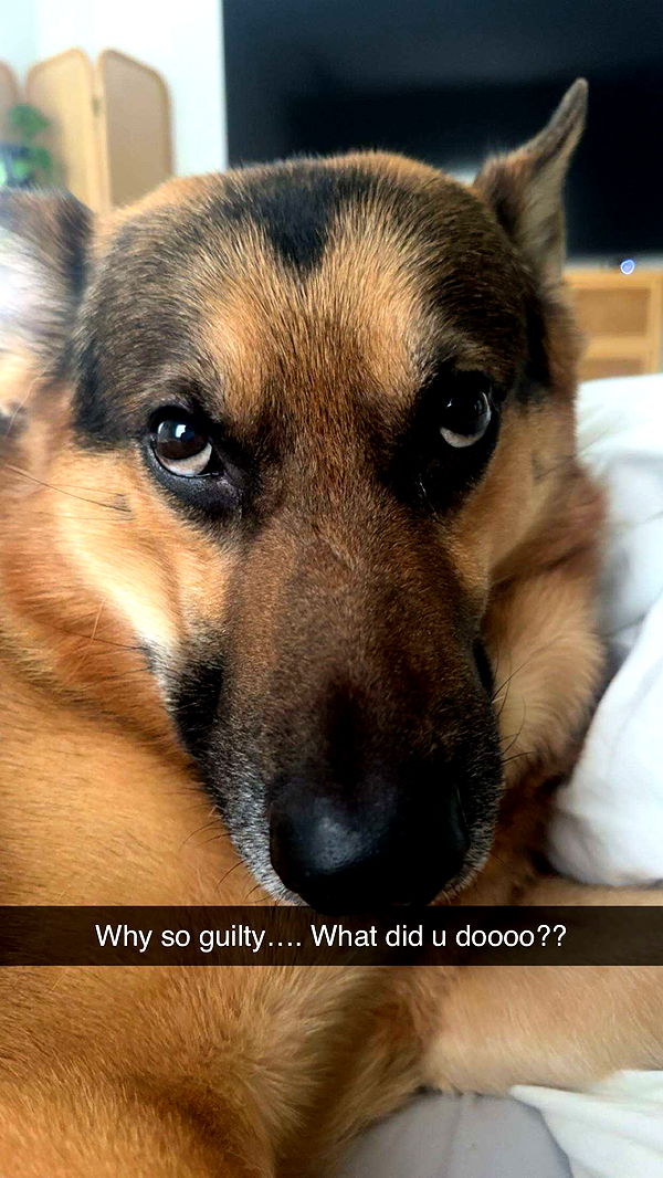 little.warren1 image ~ Altpins