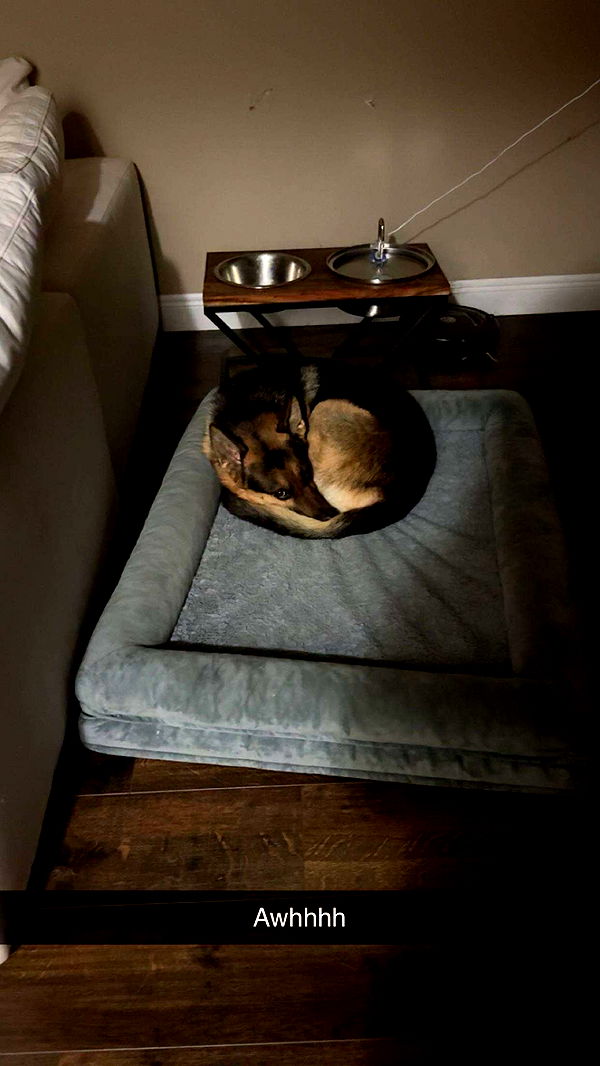 little.warren1 image ~ Altpins