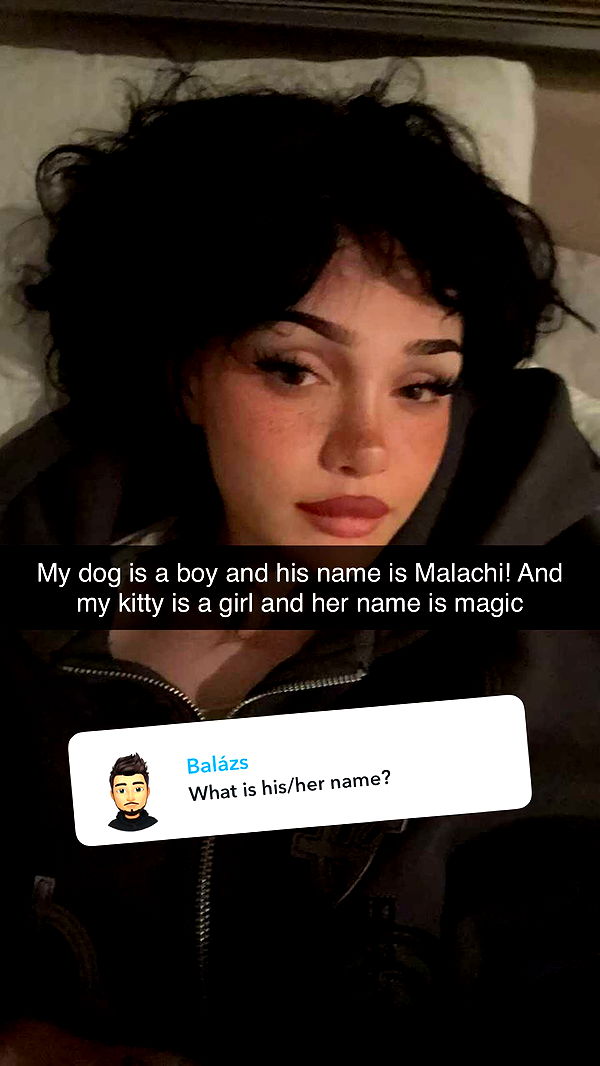 little.warren1 image ~ Altpins