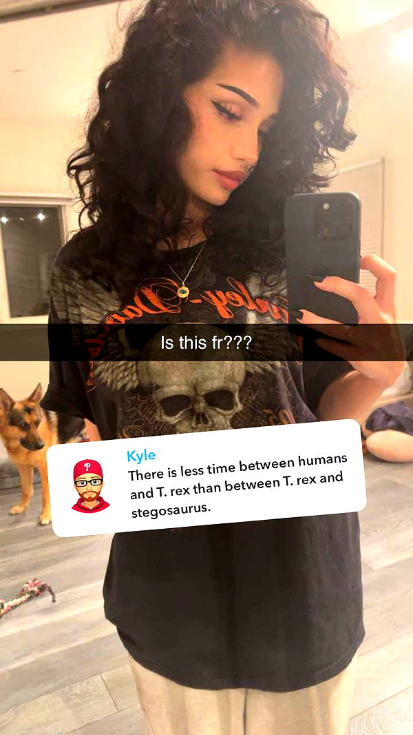 little.warren1 image ~ Altpins