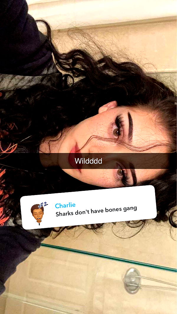 little.warren1 image ~ Altpins