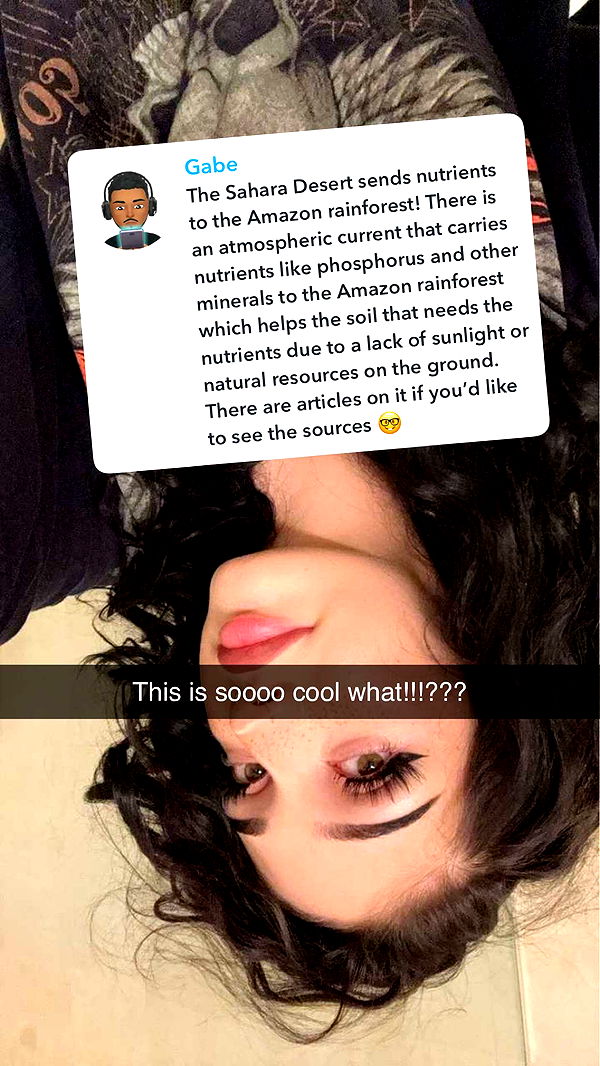 little.warren1 image ~ Altpins