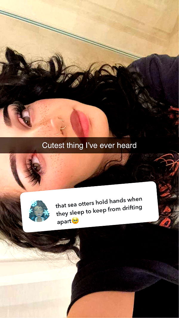 little.warren1 image ~ Altpins