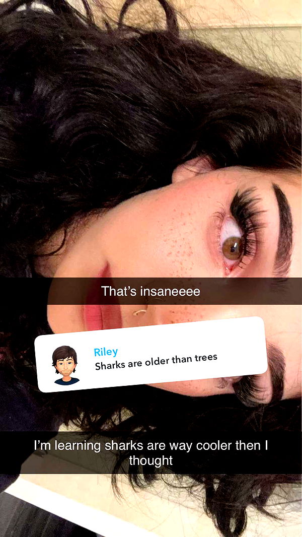 little.warren1 image ~ Altpins