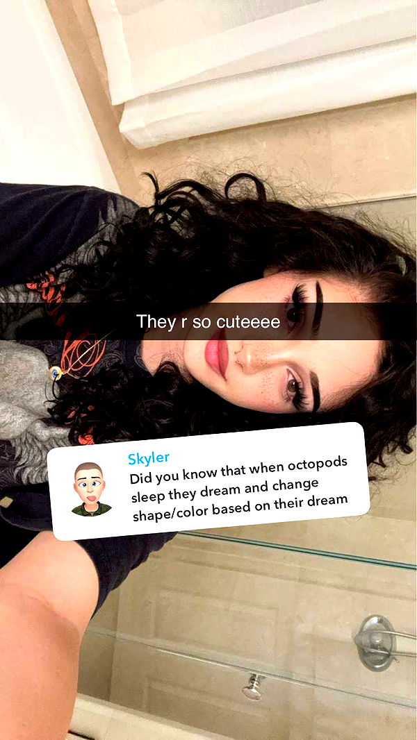 little.warren1 image ~ Altpins