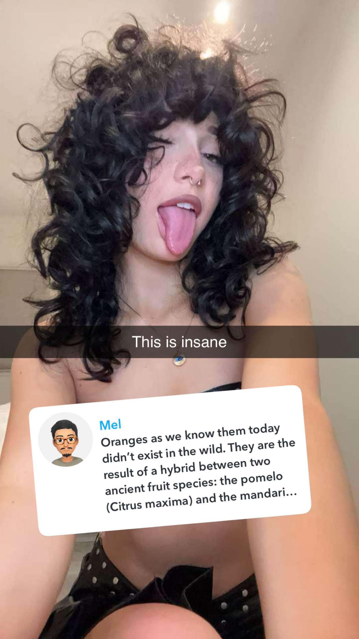 little.warren1 snapchat image archive image