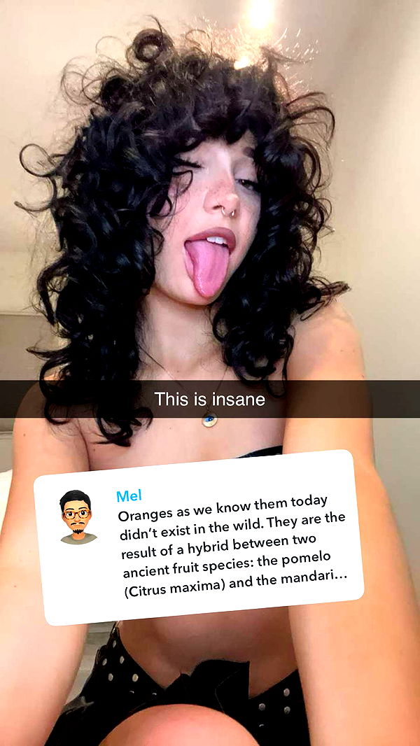 little.warren1 image ~ Altpins