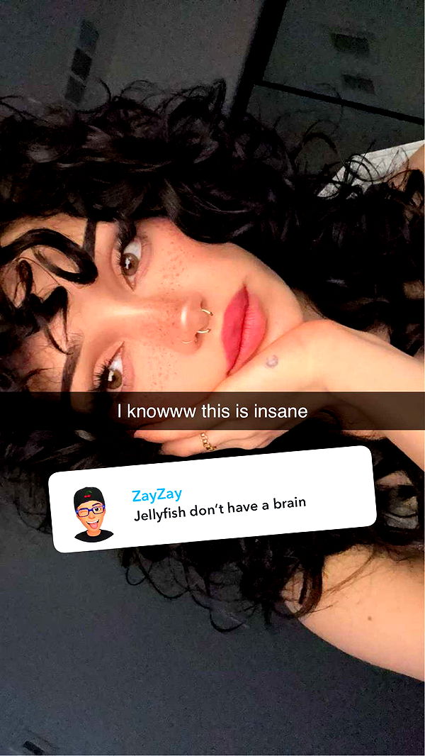 little.warren1 image ~ Altpins