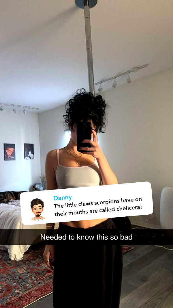 little.warren1 image ~ Altpins