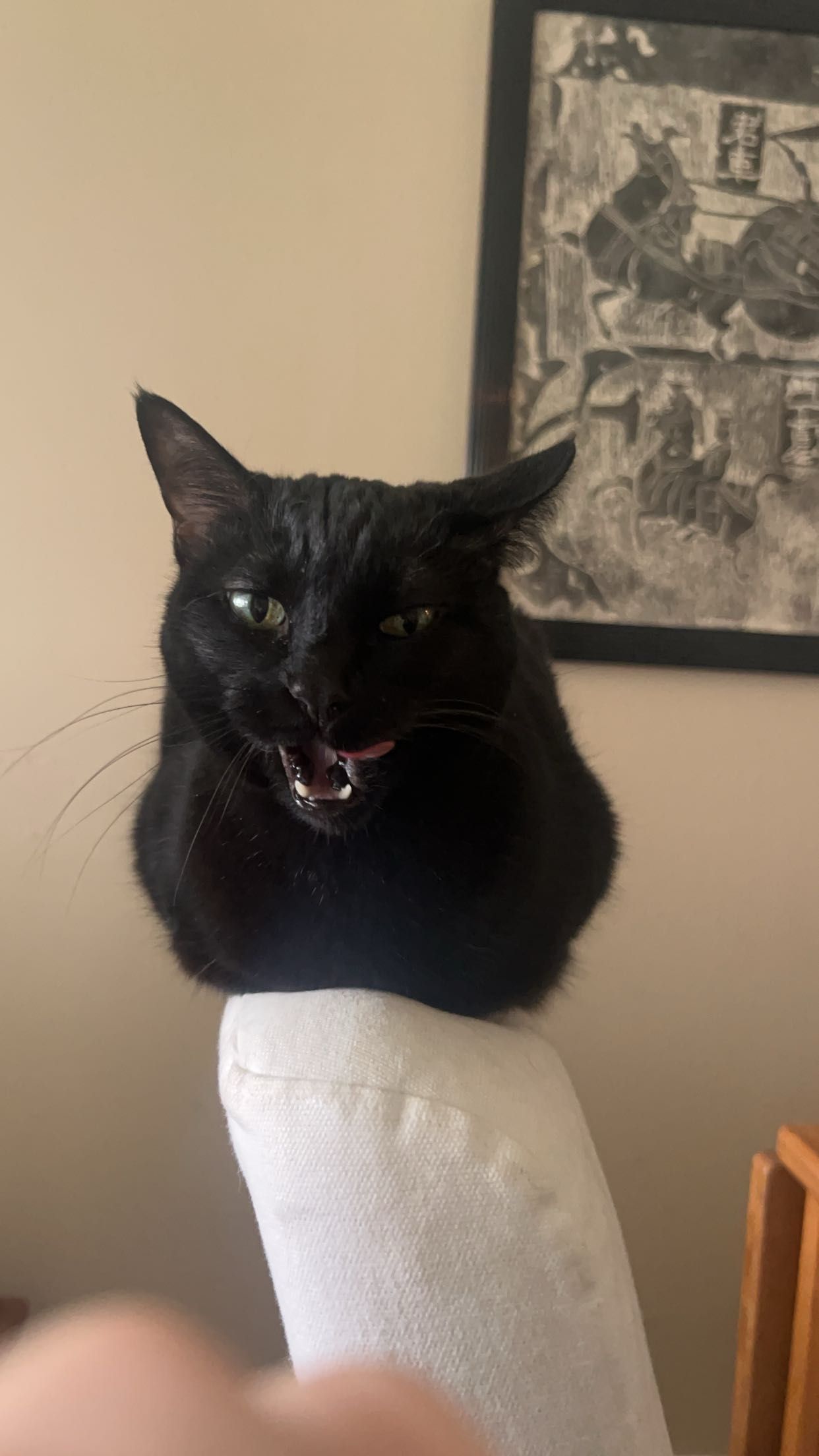 little.warren1 snapchat image archive image