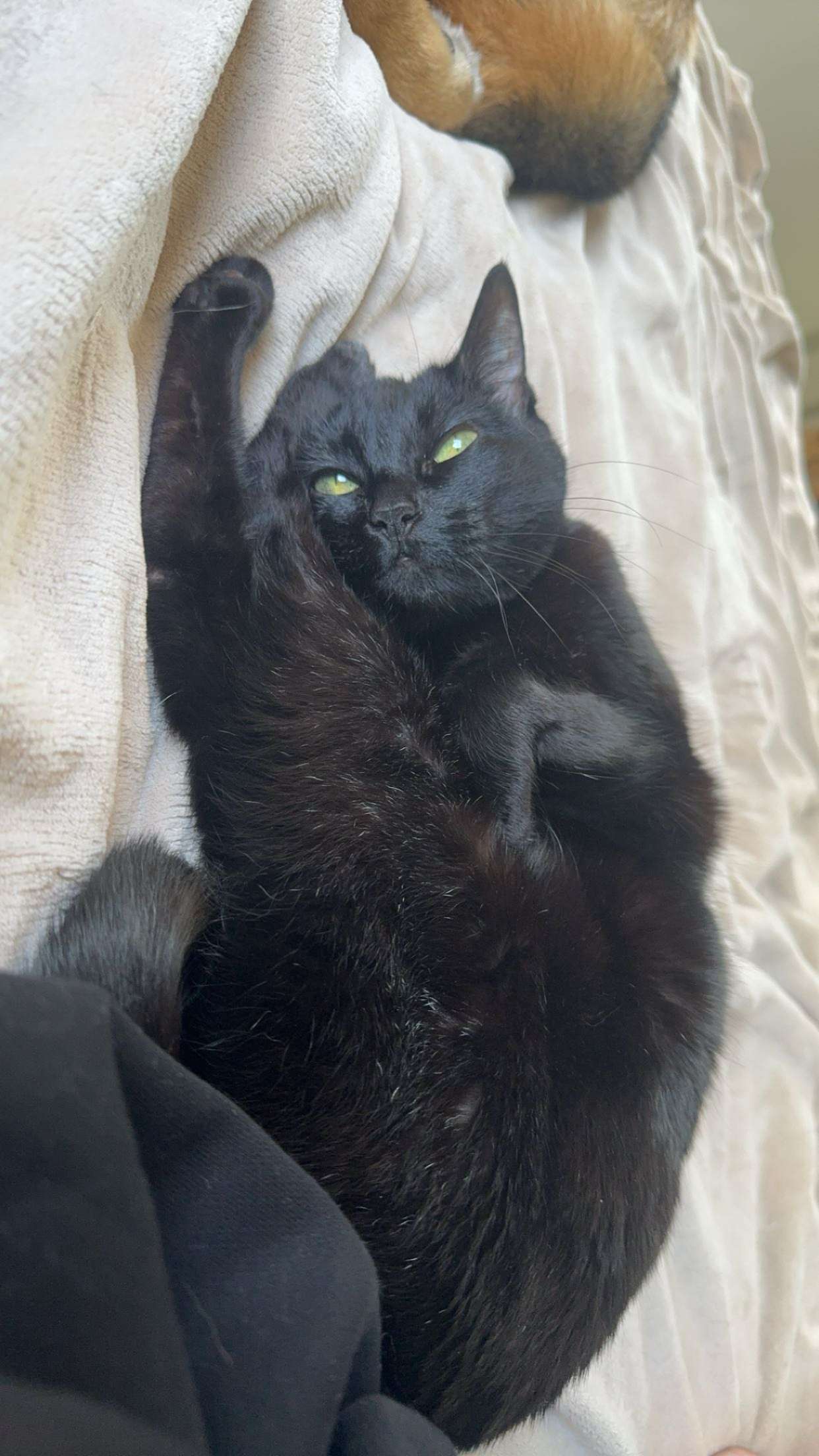 little.warren1 snapchat image archive image