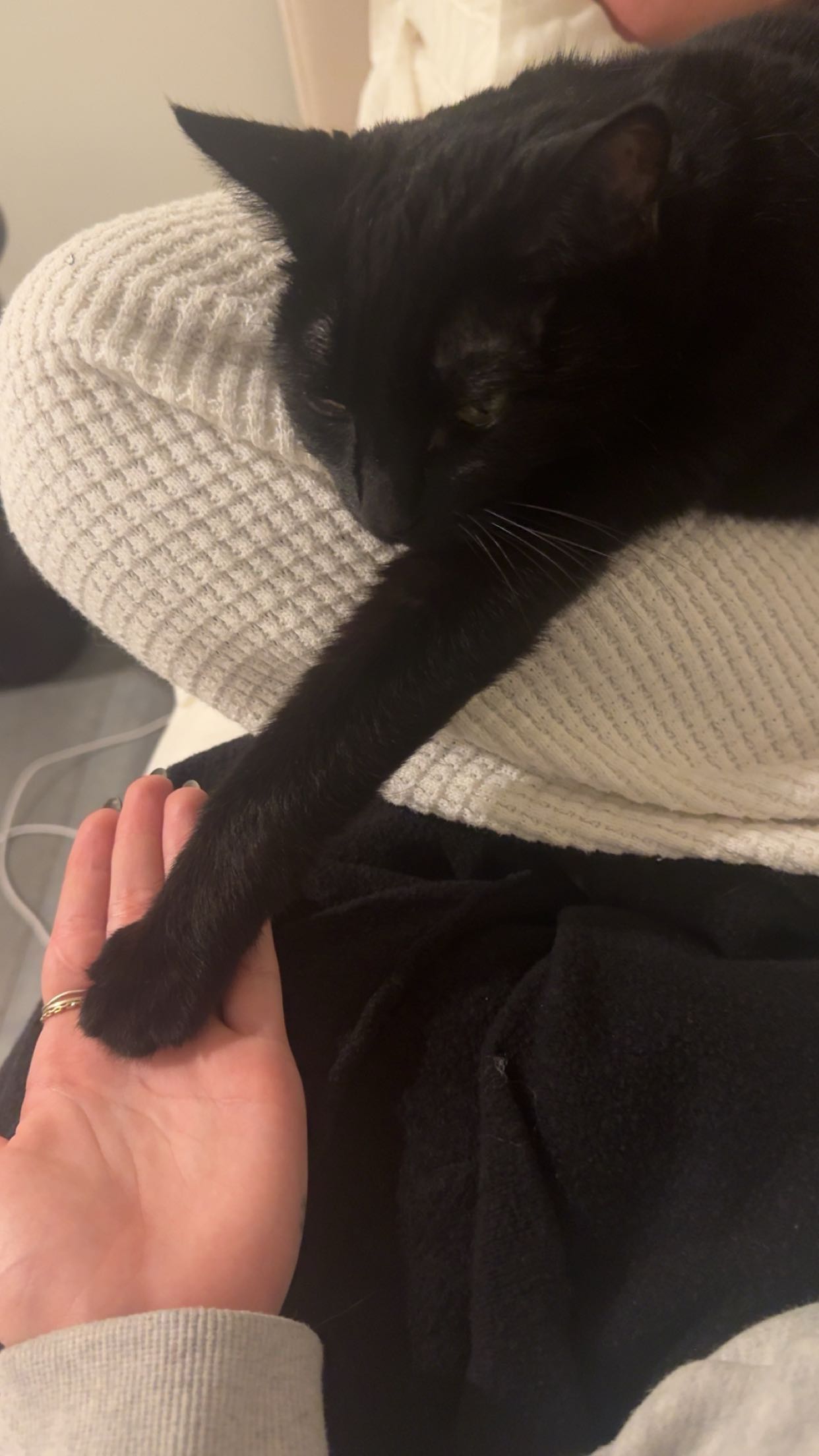 little.warren1 snapchat image archive image