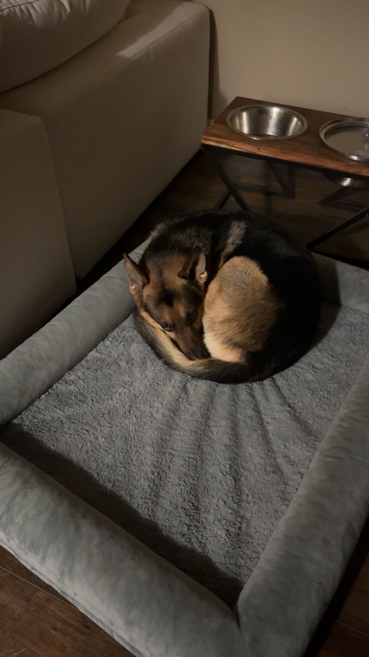 little.warren1 snapchat image archive image