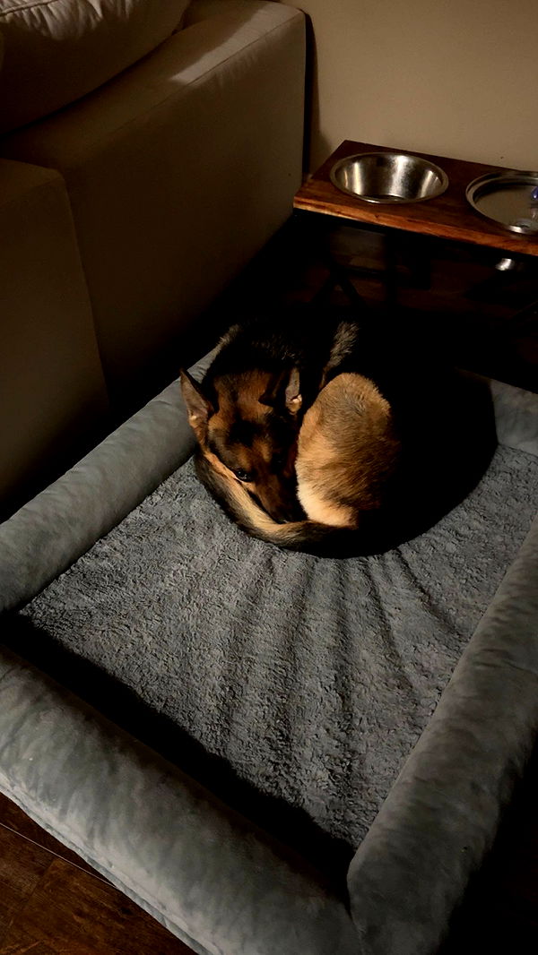 little.warren1 image ~ Altpins