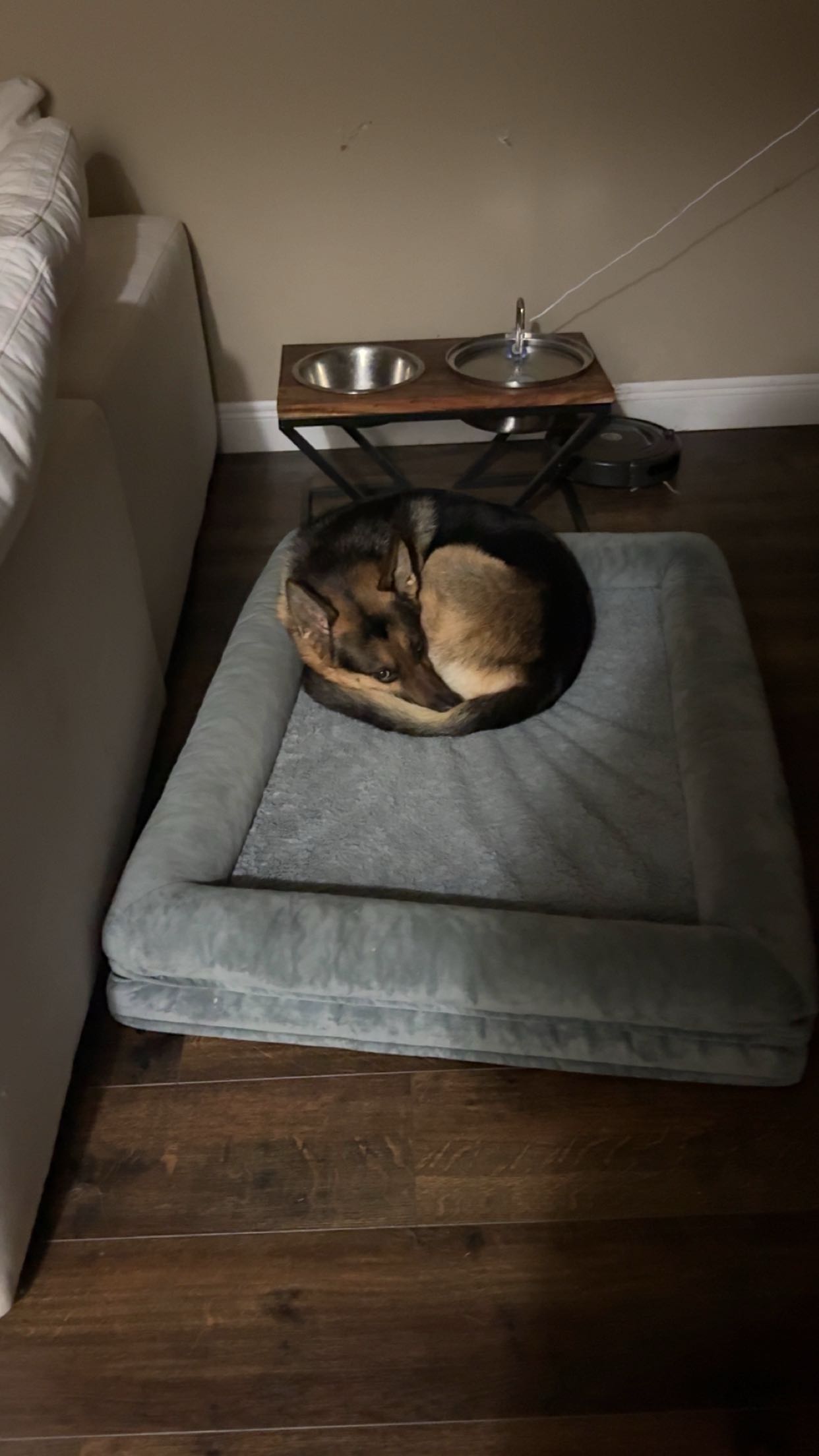 little.warren1 snapchat image archive image