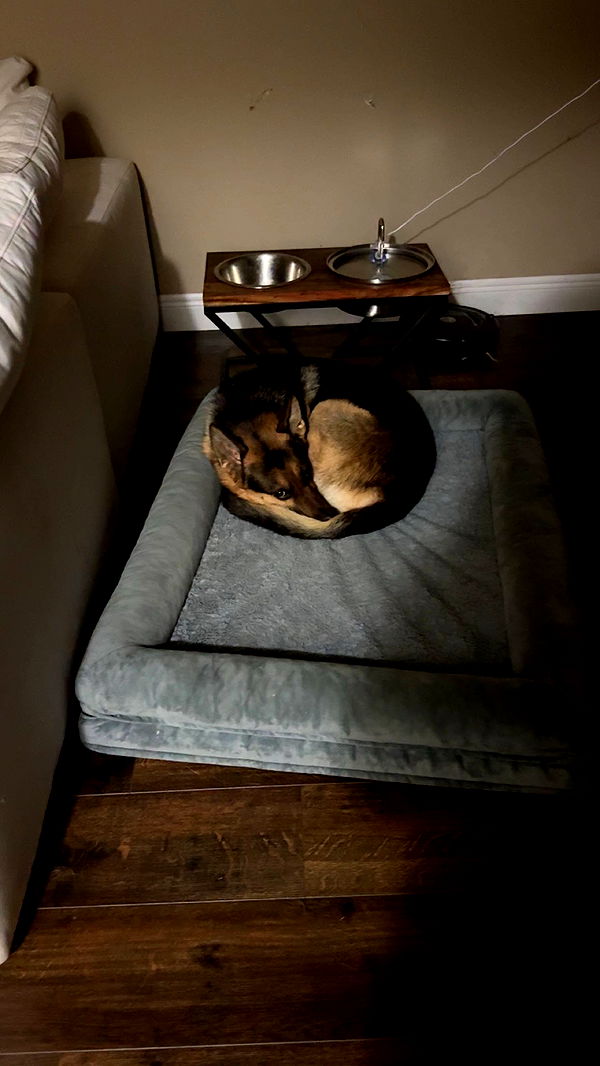 little.warren1 image ~ Altpins