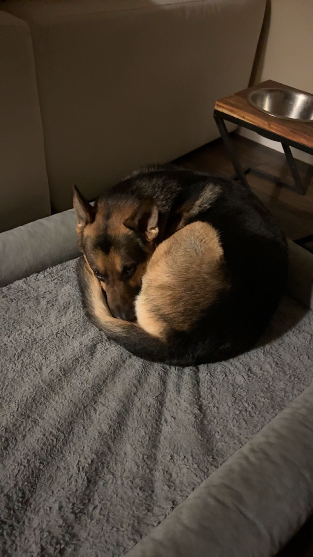 little.warren1 snapchat image archive image