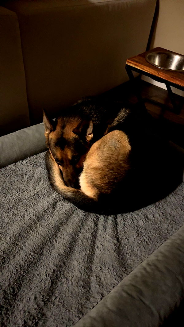 little.warren1 image ~ Altpins