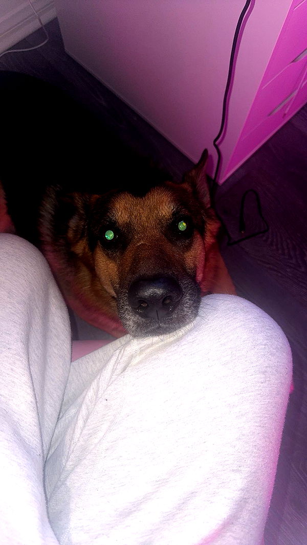 little.warren1 image ~ Altpins